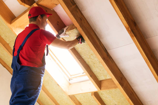 Best Insulation Air Sealing  in Dalton, GA